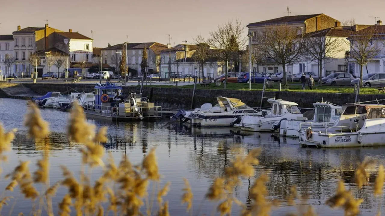 Vue de Saujon et du Pays Royannais